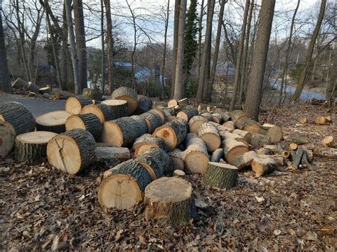 Wood Pile Forums Home