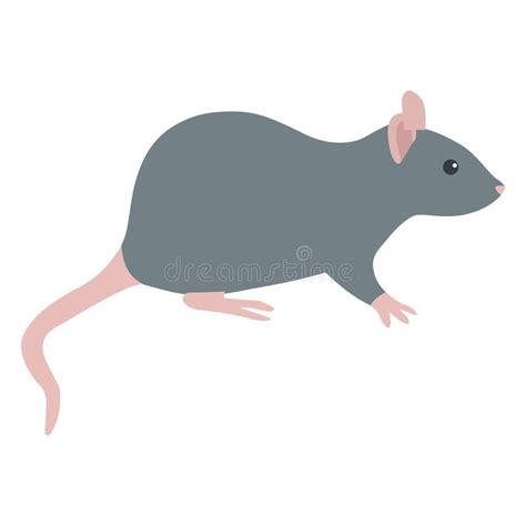 Rat Vector Icon Illustration Which Can Easily Modify Or Edit Stock