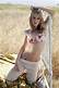 Taryn Manning Leaked Nude Photo