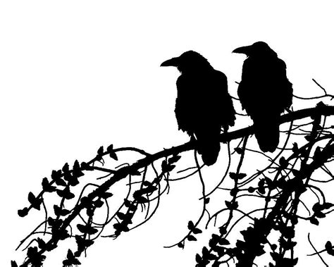 Ravens Silhouette 8x10 Black And White By Natureisart On Etsy