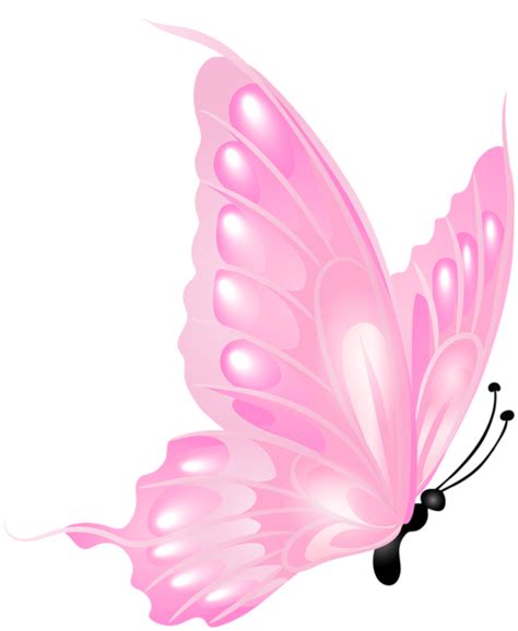 Butterfly Cartoon Images Butterfly Clip Art Butterfly Watercolor