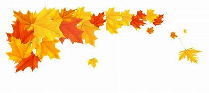Transparent Fall Border Autumn Leaf Clipart Leafs