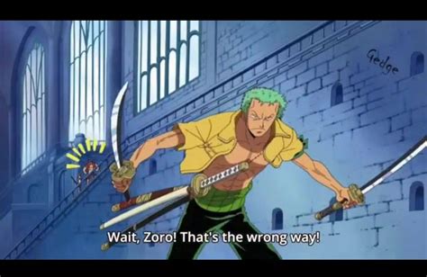 This Is How Zoro Actually Lost His Sense Of Direction🤣 This Is How