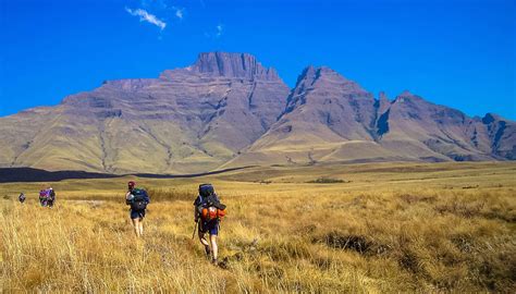 Träumen sie von einer safari in südafrika? Drakensberge: Südafrika-Safari mal anders - ImmoAfrika.de