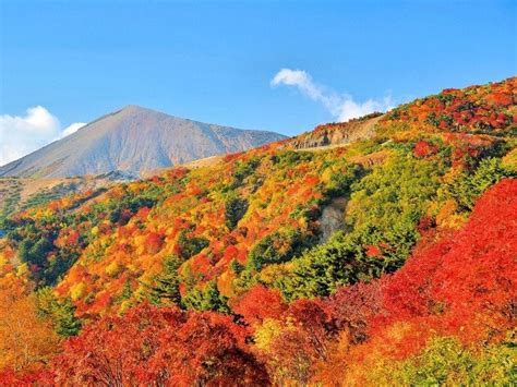All The Best Fall Color Spots In Tohoku All About Japan Fall Colors