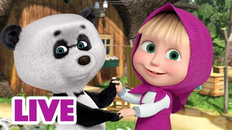 🔴 Live Stream माशा एंड द बेयर 😉 इसके लिए दोस्त होते हैं 📺 Masha And The Bear In Hindi Youtube