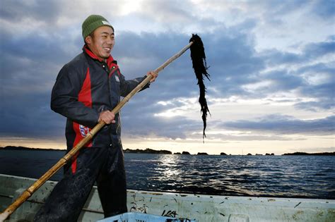 Fishermen Unite In Quest To Reform Revive Prime Tohoku Industry The Japan Times