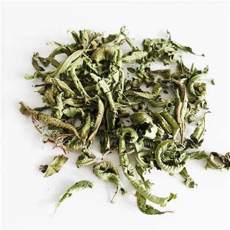 Verbena Tea Is A Delicious Refreshing Natural Tea