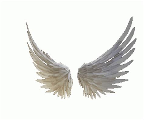 Kate Wings Sticker Kate Wings Fly Discover Share Gifs Angel