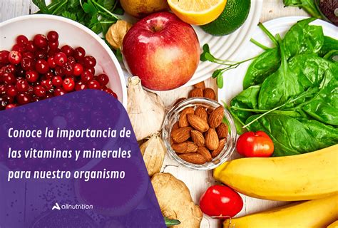 Conoce La Importancia De Las Vitaminas Y Minerales Para Nuestro Organi