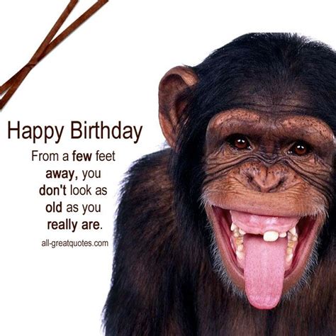 Happy Birthday Images With Monkeys Monkey Smiling Cute Monkey Monkey