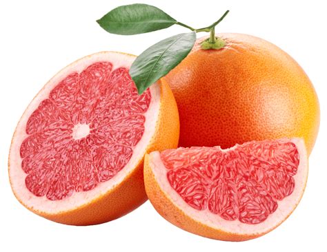 Grapefruit Transparent File Png Play