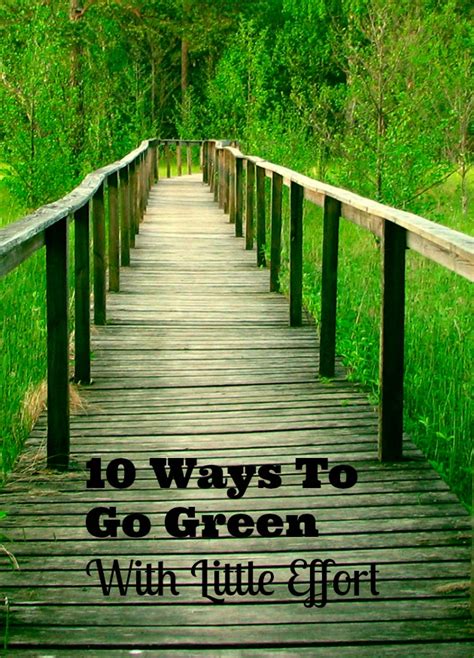 20 Ways To Go Green With Little Effort Required