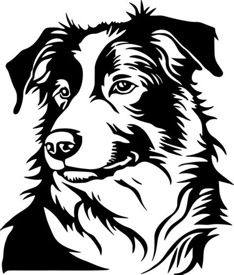 Premium Vector Border Collie Dog Face Isolated On A White Background