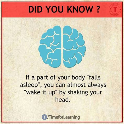 Did u know | Psychology facts, Fun facts, Facts for kids