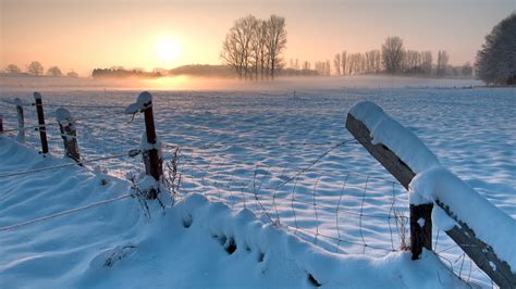 1920x1080 Trees Fencing Germany Field Fence Winter Snow