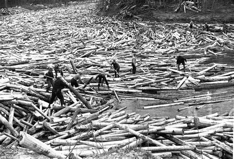 Black And White Photos Show The Tough Lives Of Lumberjacks In The 1800s