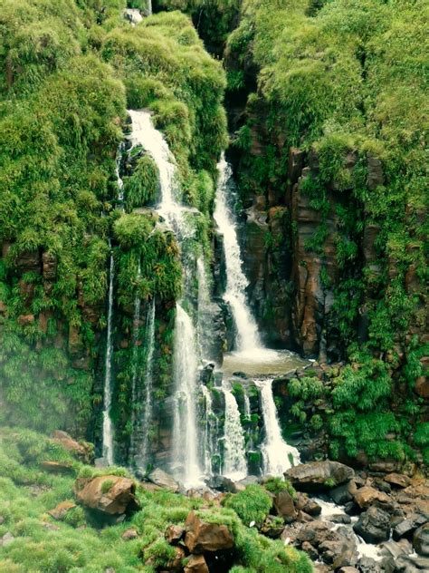 Free Images Tree Waterfall Wilderness Adventure Roof