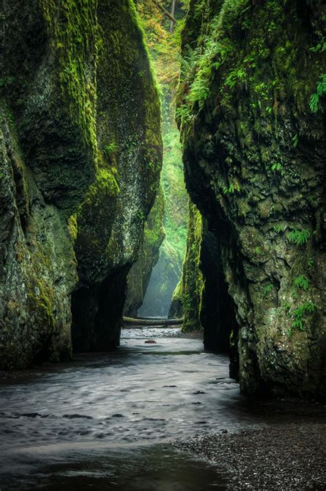 Gorgeness Oneonta Gorge Within The Columbia River Gorge