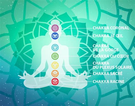 Les 7 Chakras Principaux Pose Harmony Il Est Temps Dappuyer Sur P