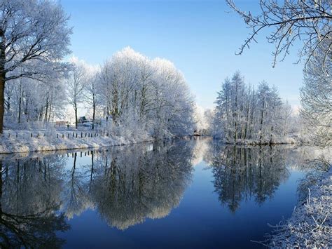 Wallpaper Winter River Trees Frost Snow Picturesque Scenery