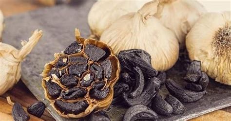 Due to its sweet and sour taste and high nutritional value, it is sold well in the market in recent years. Cara Membuat Black Garlic Di Rumah - Sekitar Rumah