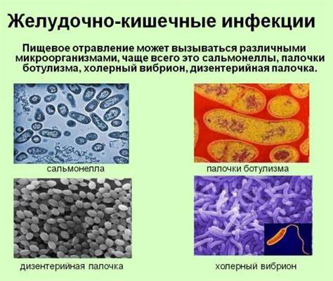 Кисломолочная диета для кишечника