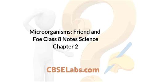 Microorganisms Friend And Foe Class 8 Notes Science Chapter 2 Cbse Labs