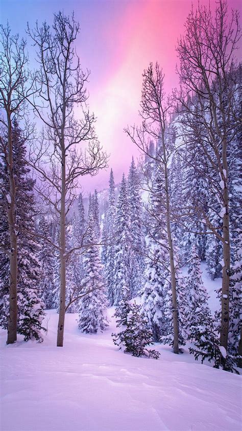Winter Landscape Title Snow Globe By Wayne Boland