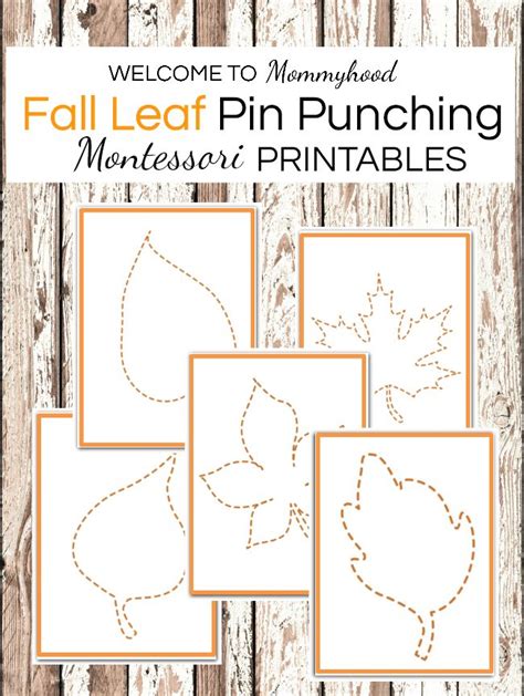Montessori Fall Activities Leaf Pin Punching Hands On Learning Autumn