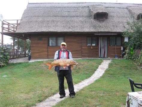 Casa De Vacanta La Malul Dunarii Cabana De Pescuit Si Vanatoare