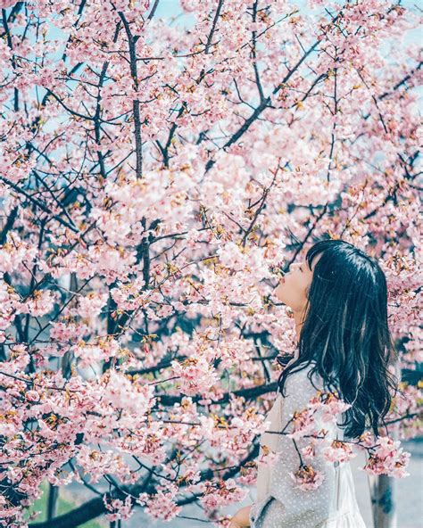Taka On Instagram Japanese Beauty Spring Version 🌸🌸 Sakura