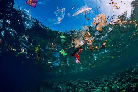 Floating Booms Could Only Clean Up 5 Of Plastic On The Ocean Surface