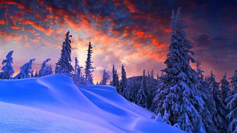 Get Winter Wallpapers Microsoft Store