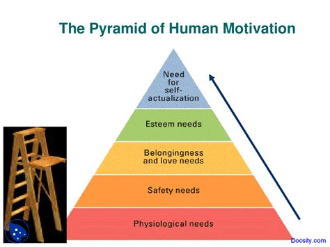 Pyramid Of Human Motivation Fundamentals Of Psychology Lecture