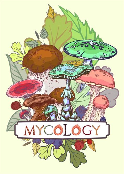 PG NEET Microbiology MCQs - Mycology - 3