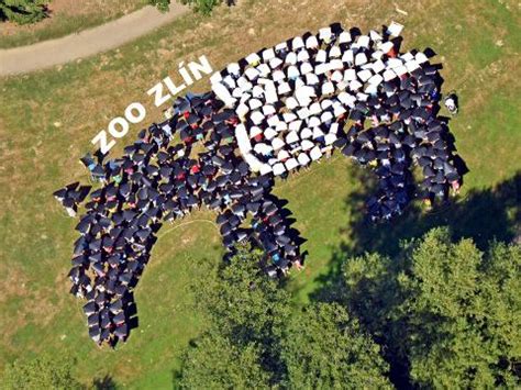Návštěvníkům zoo se podařilo vytvořit rekordního lidského ...