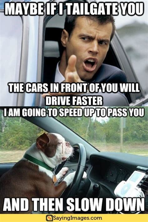 20 Most Hilarious Driving Memes Drivingmemes Memes Funnymemes Humor Sayingimages Funny