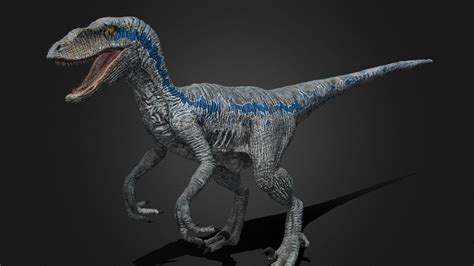 Blue The Velociraptor Wallpapers Wallpaper Cave