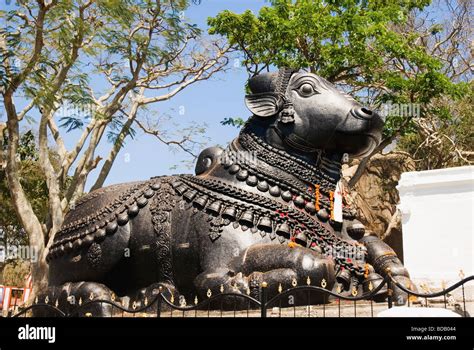 Statue Nandi Bull In Temple Hi Res Stock Photography And Images Alamy