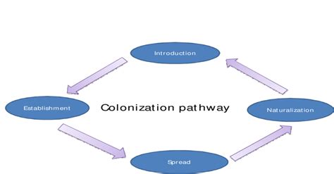 Fig Pathway Of Colonization Common Invasive Species Traits Fast