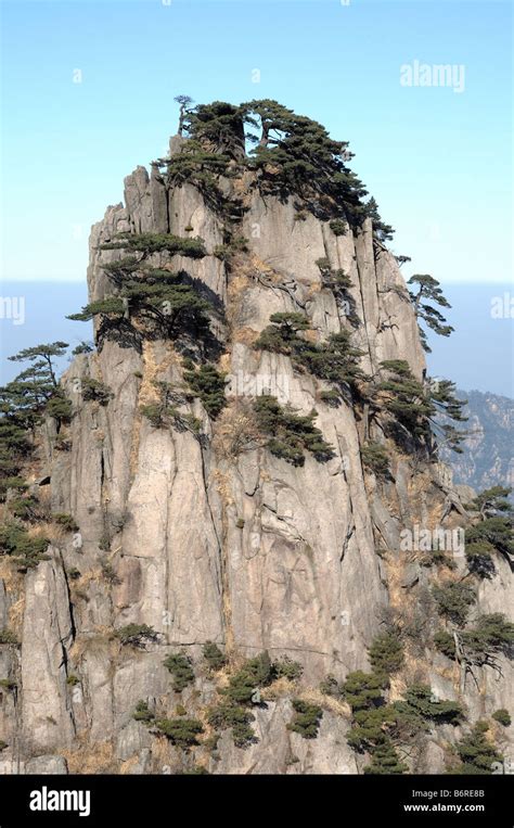 Stalagmite Peak Huangshan Yellow Mountain Anhui China Stock Photo