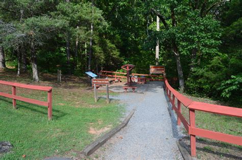 High Falls State Park Falls Trail Jackson Georgia Hiking The