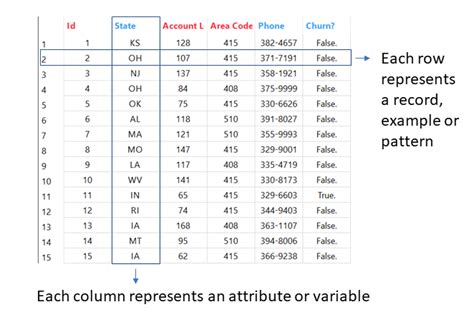 Datasets And Attributes