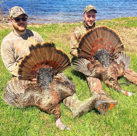 Guided New York Turkey Hunt Eastern View Outfitters