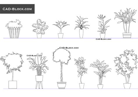 Free cad blocks plants and bushes 01. Indoor Plants CAD blocks in DWG - отслеживание цены в cad ...