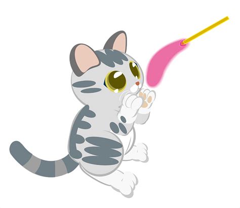 Playful Kitten Clipart Free Download Transparent Png Creazilla