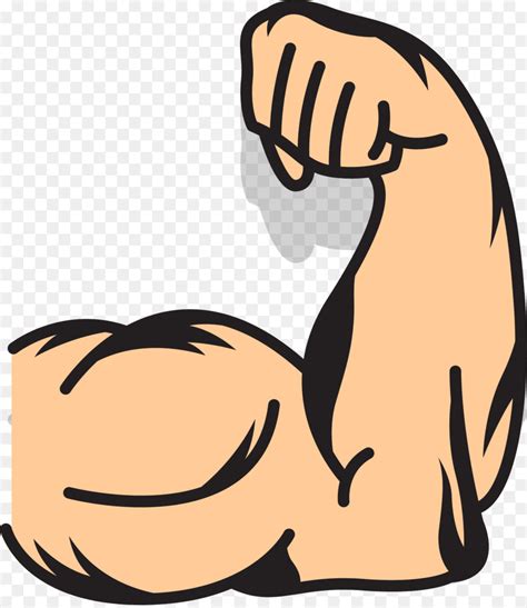 Muscle Arms Muscle Arms Clip Art Strong Arms Png