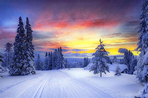 Snow Road Winter Ice Scenery Nature Winter Forest Road Hd Wallpaper