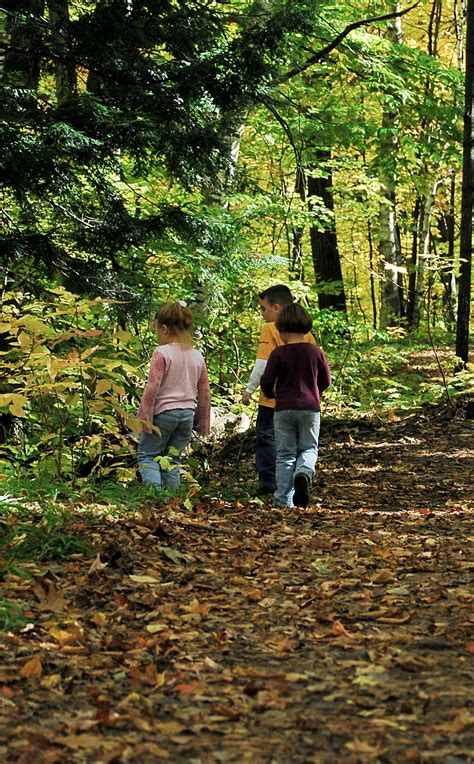“green Education” What Nature Can Teach Our Kids